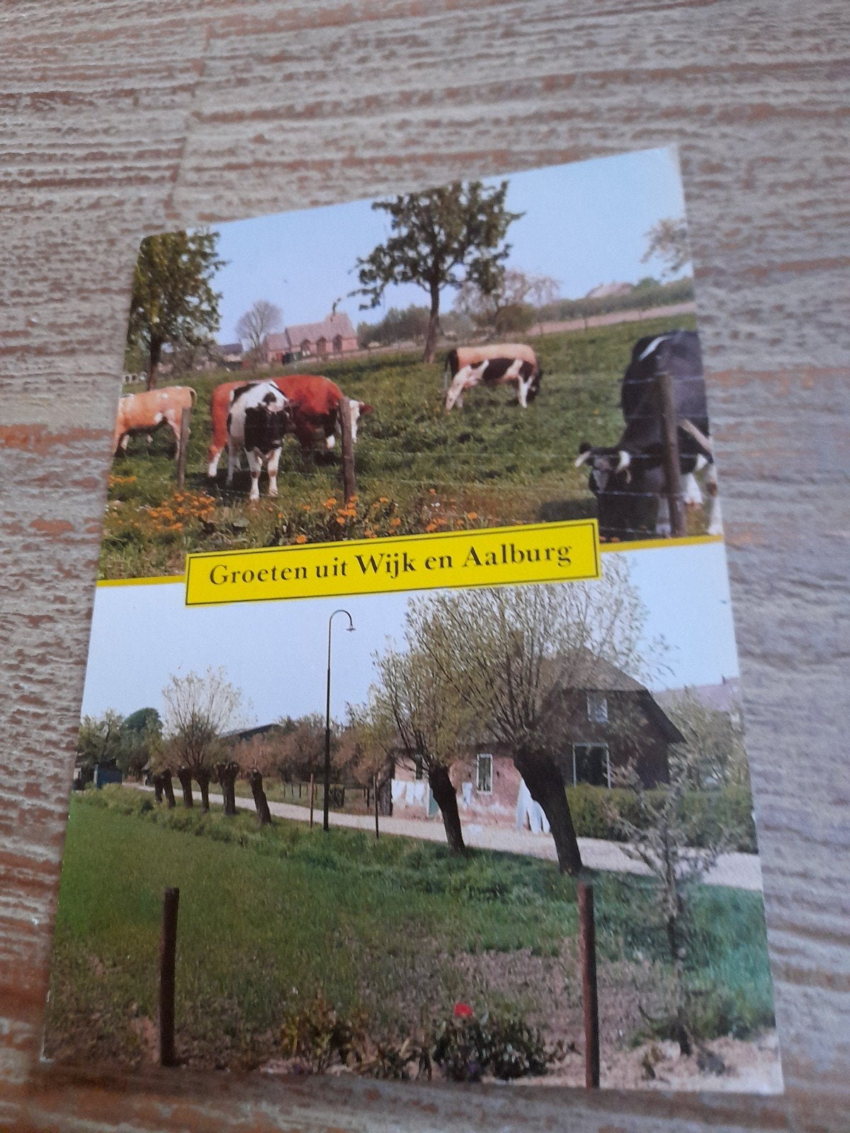 Fotoansichtkaart kleur Groeten uit Wijk en Aalburg, Ophalen of Verzenden, 1960 tot 1980, Gelopen, Noord-Brabant