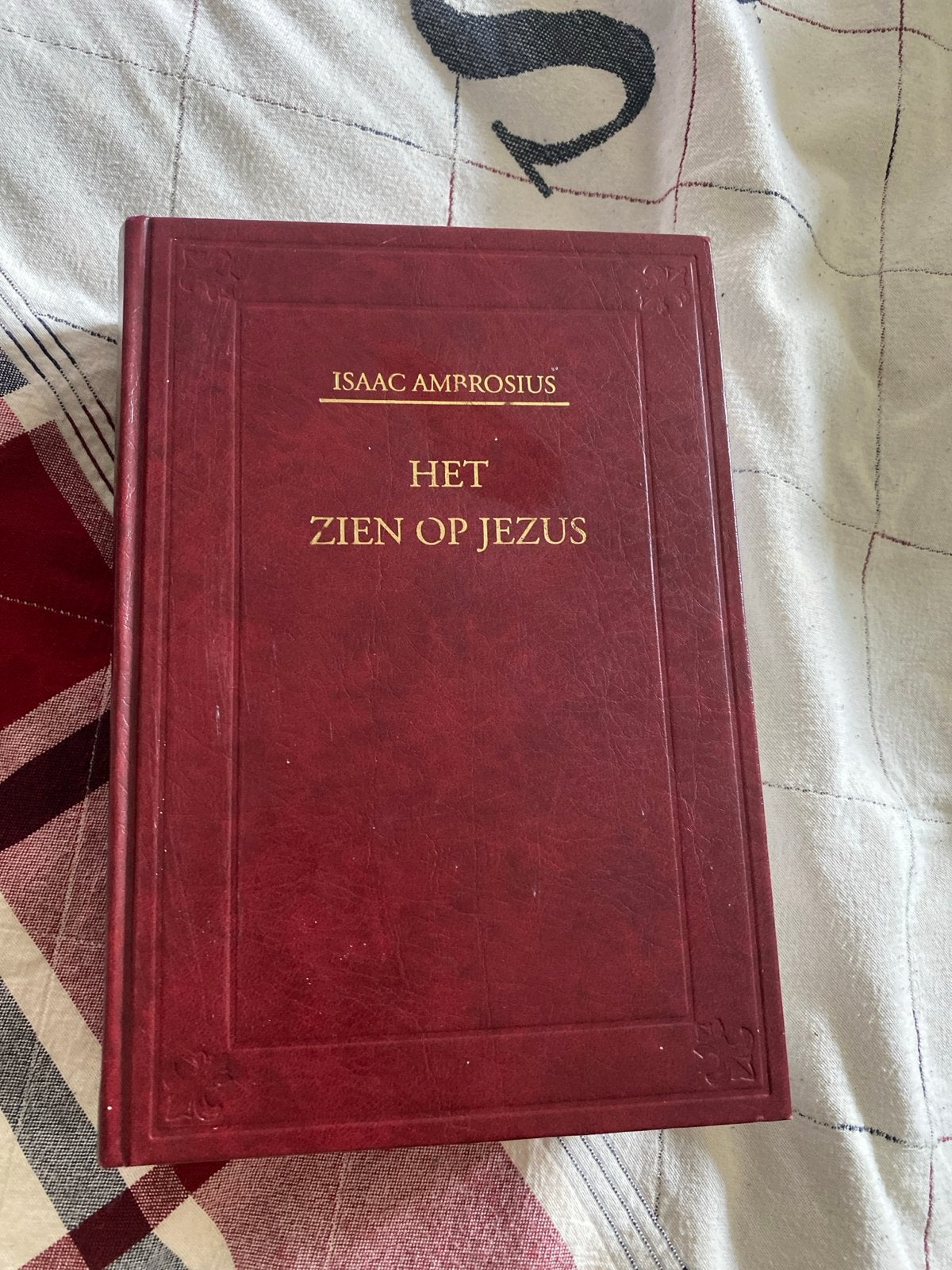 Het Zien op Jezus - Isaac Ambrosius (Herdruk 2003), Boeken, Ophalen of Verzenden, Zo goed als nieuw, Christendom | Protestants