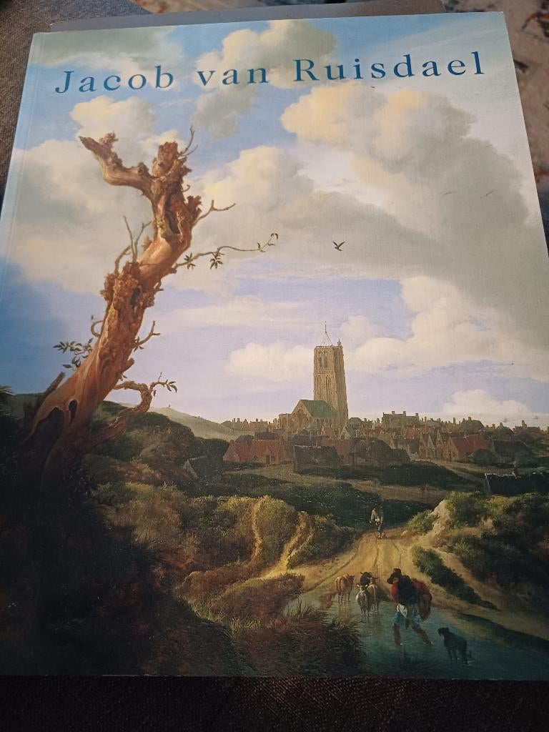 JACOB VAN RUISDAEL, Ophalen of Verzenden, Zo goed als nieuw