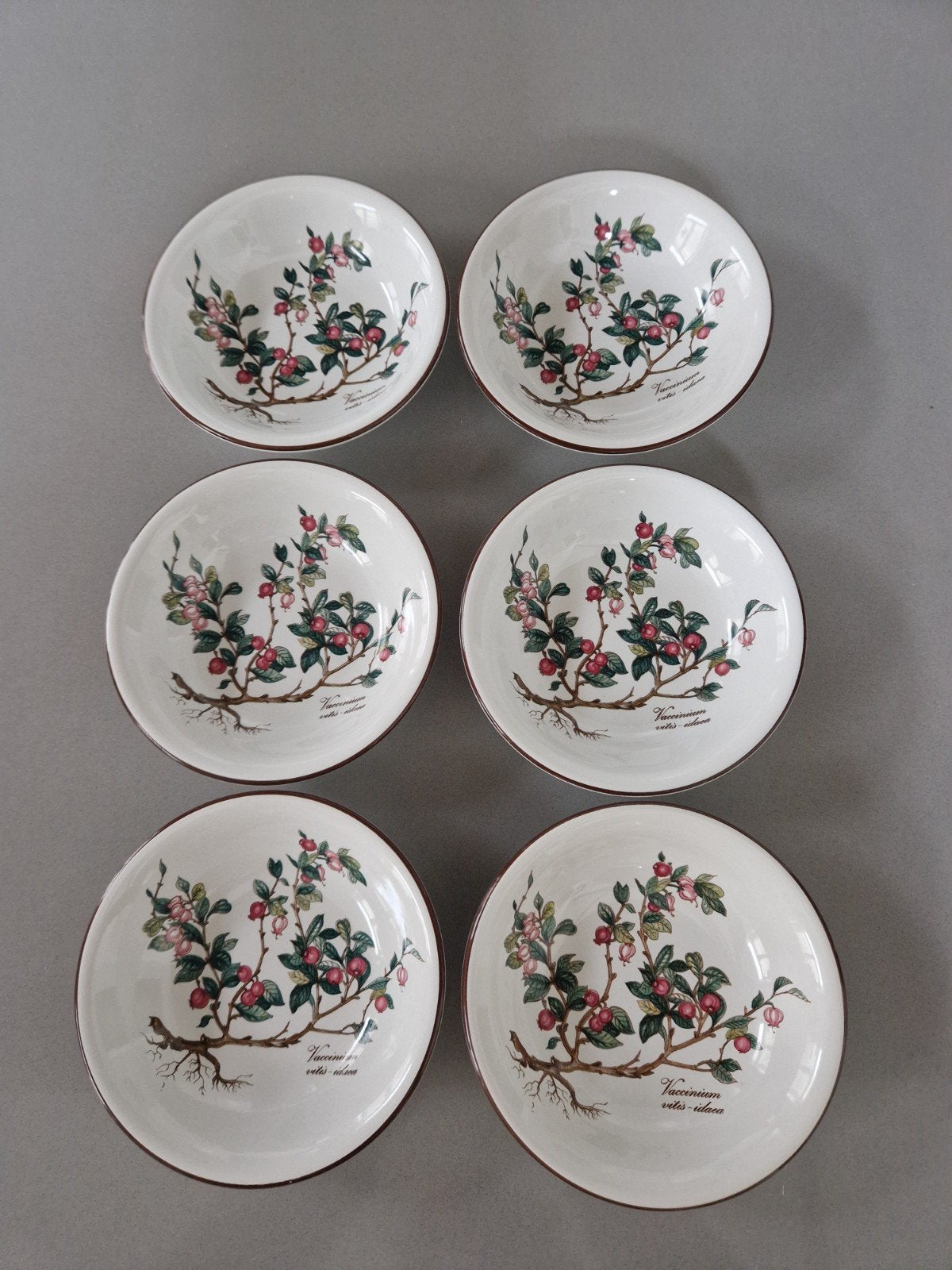 Dessertschaaltjes Villeroy en Boch Botanica, 6 beschikbaar, Ophalen of Verzenden, Overige stijlen, Porselein, Schaal of Schalen