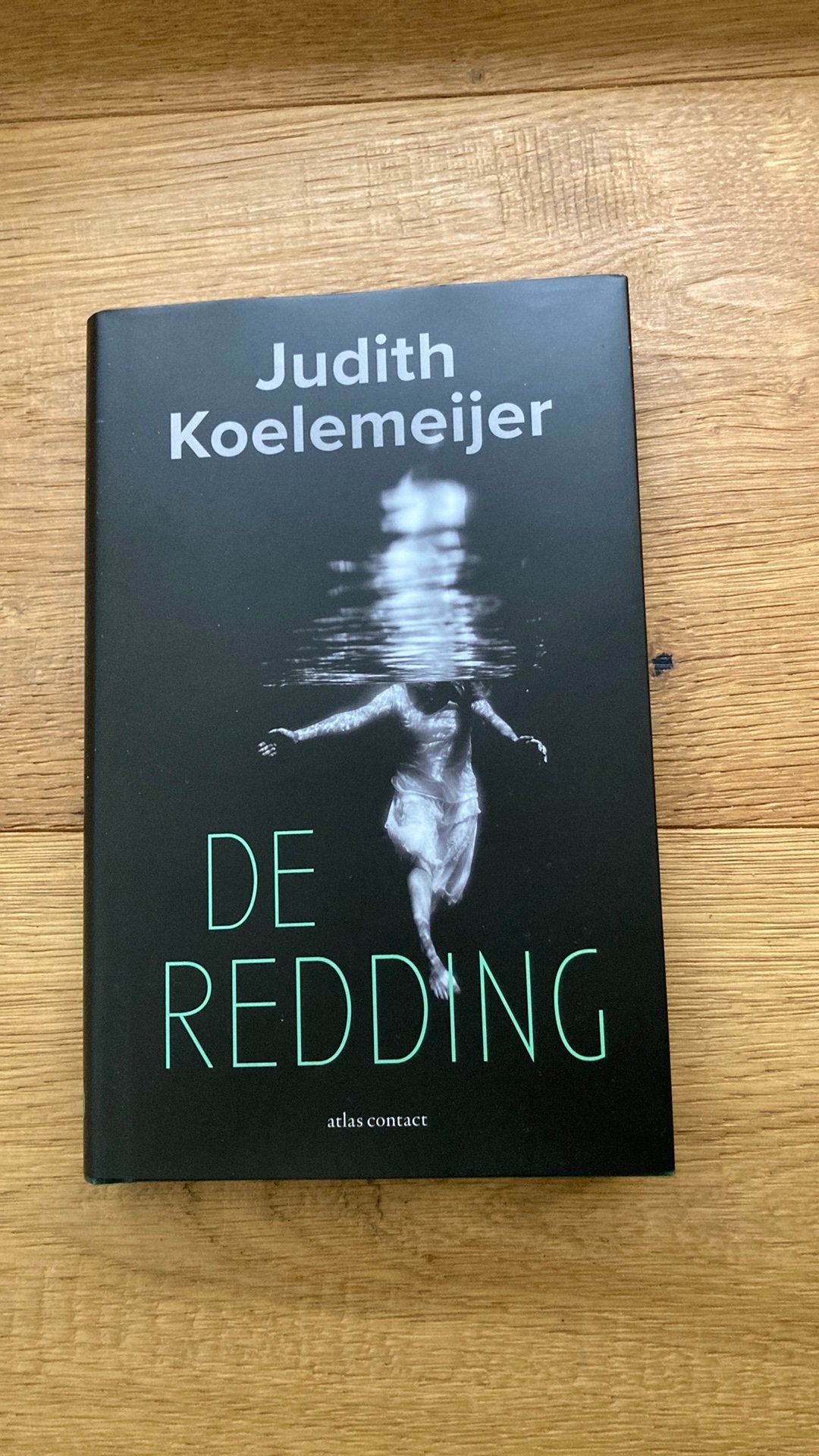 Judith Koelemeijer - De redding, Ophalen of Verzenden, Zo goed als nieuw, Judith Koelemeijer