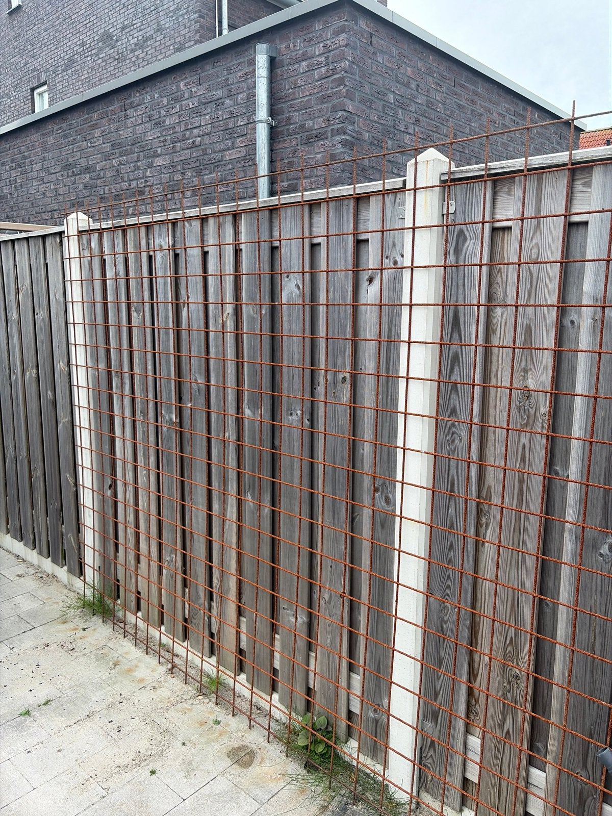 Tuinscherm circa 3 m x 2 m (tralley scherm), Ophalen, Gebruikt, Minder dan 3 meter, 2 meter of meer