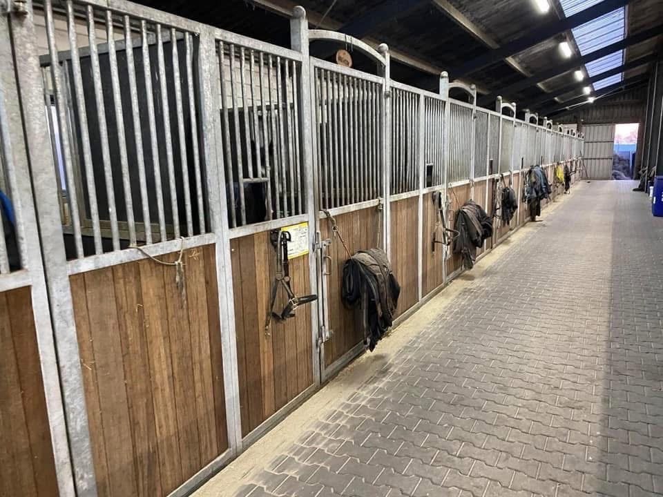 Pensionstalling voor paard/pony, Dieren en Toebehoren, Weidegang