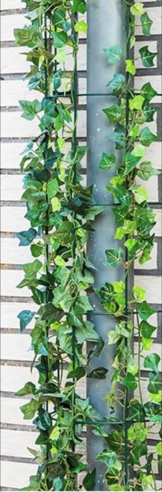 Klimplantenrek - 2 stuks, 120 cm, Ophalen, Vaste plant, Bloeit niet, Halfschaduw