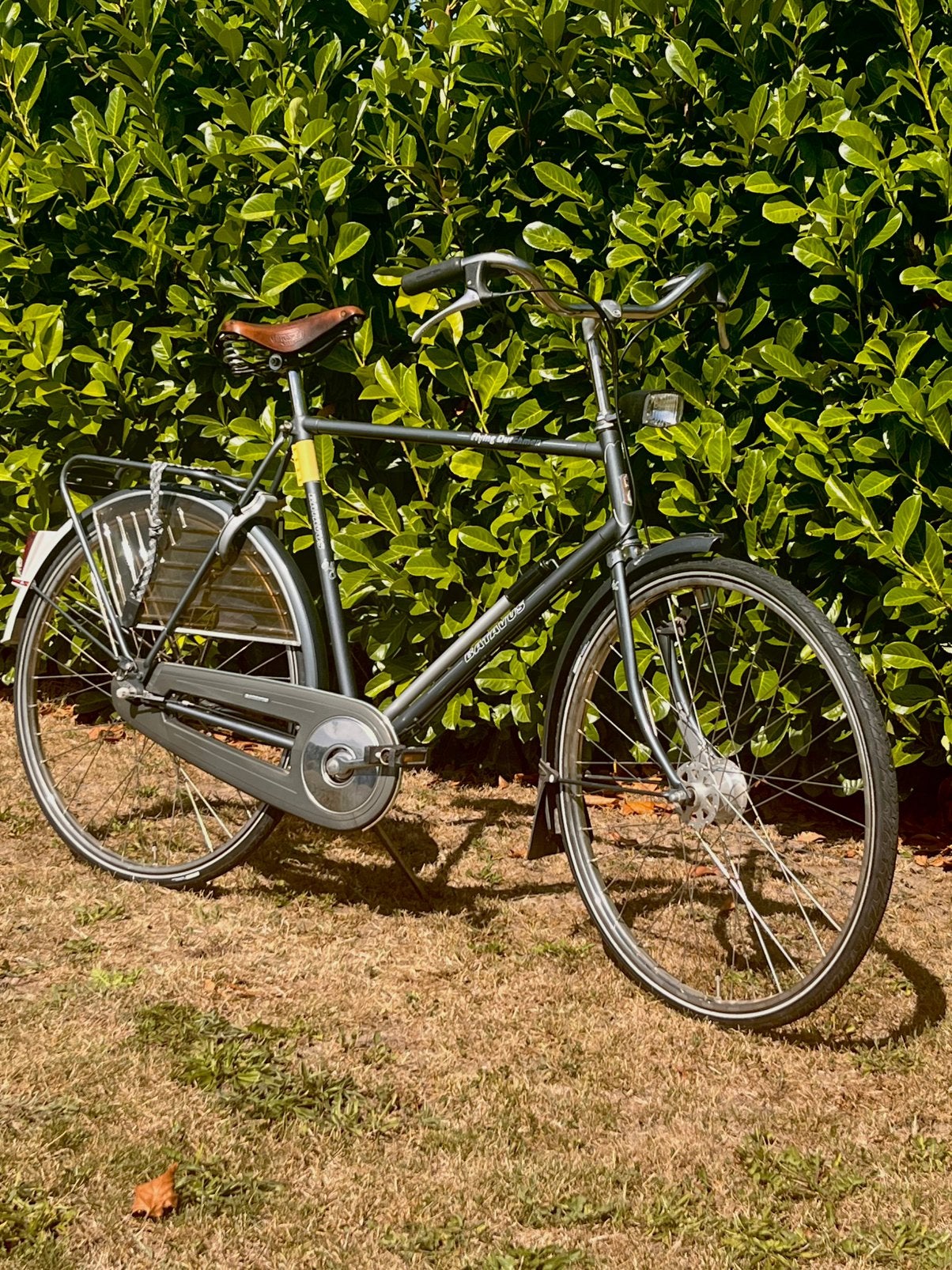 Batavus FlyingDutchman RoyalClass-Brookszadel–3versnellingen, 59 cm of meer, Ophalen, Trommelrem