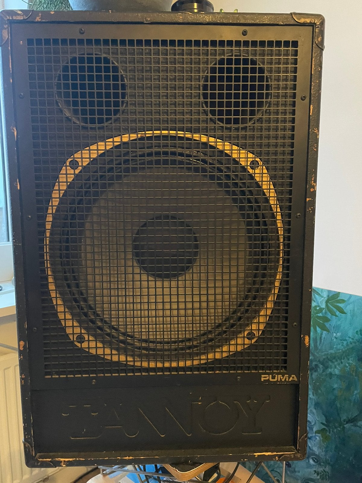 Tannoy Puma 15 inch, Audio, Tv en Foto, Luidsprekers, Ophalen of Verzenden, Gebruikt, Stereo speakers, Overige merken