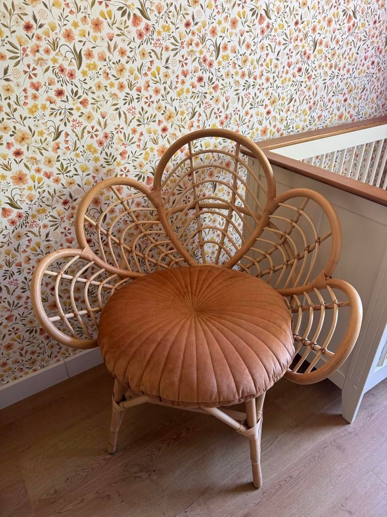 Rotan stoel met kussen, Ophalen, Bruin, Riet of Rotan, Zo goed als nieuw