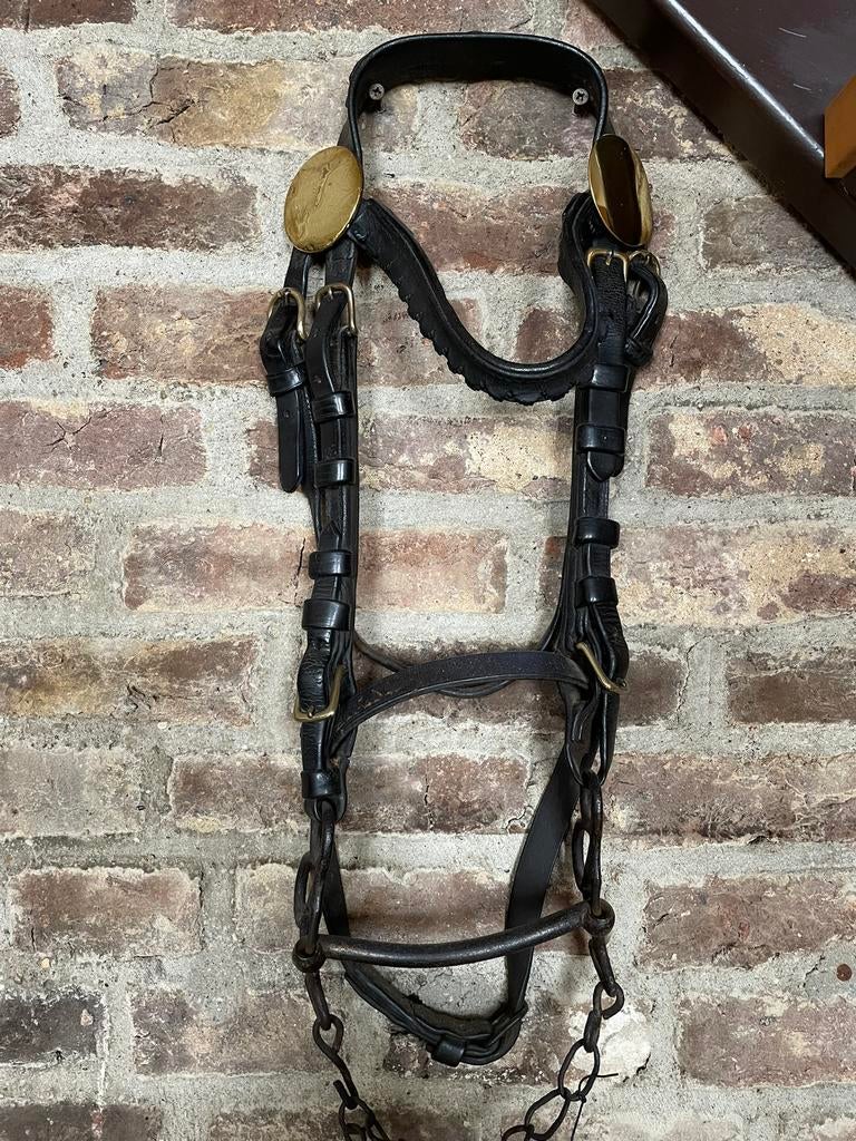 Te koop 3 verschillende paarden tuigage. Prijs vanaf €30,00, Ophalen of Verzenden, Zo goed als nieuw, Overige soorten