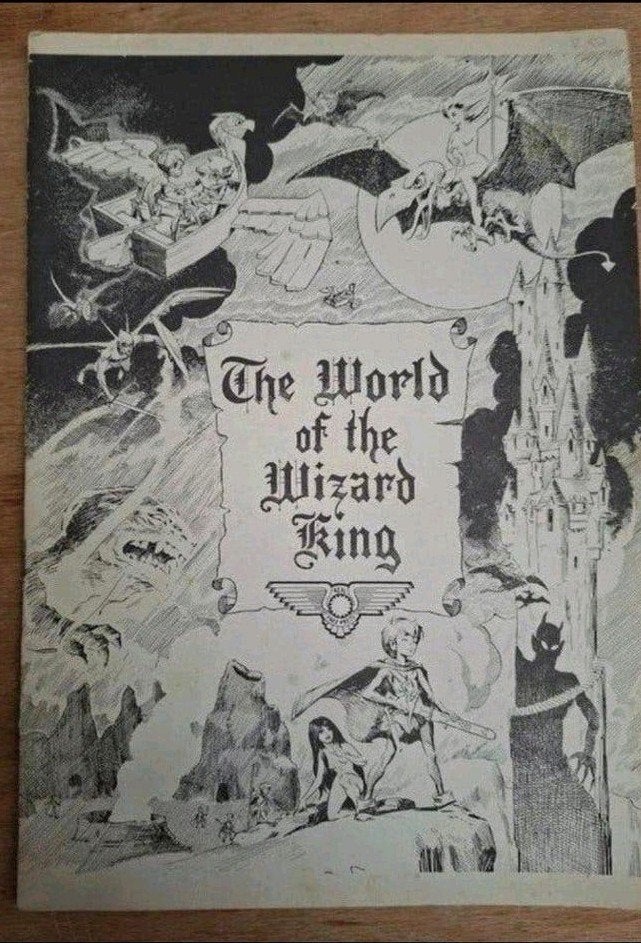 The World of the Wizard King stripboek (Engels), Boeken, Eén stripboek, Ophalen