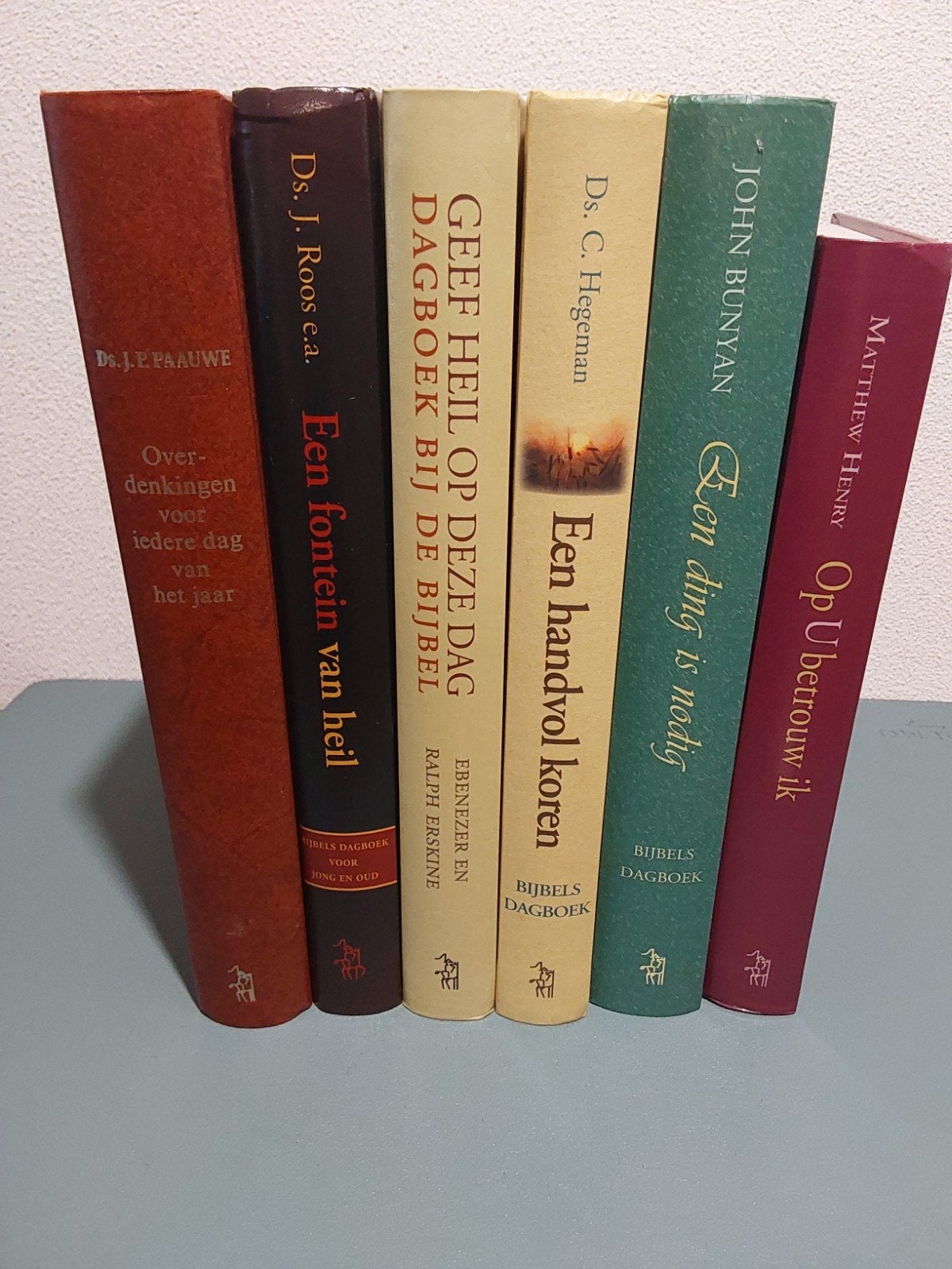 Diverse Dagboeken, Ophalen of Verzenden, Gelezen, Diverse auteurs, Christendom | Protestants