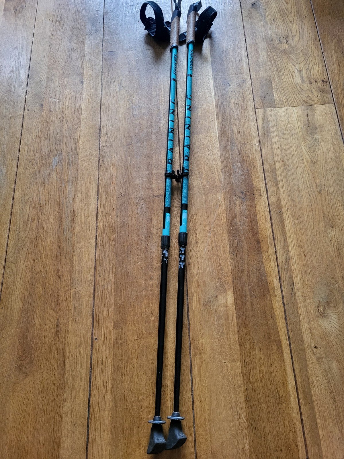 Masters Training Nordic Walking Stokken Blauw, Sport en Fitness, Bergsport en Wandelen, Ophalen of Verzenden, Gebruikt, Wandelstok