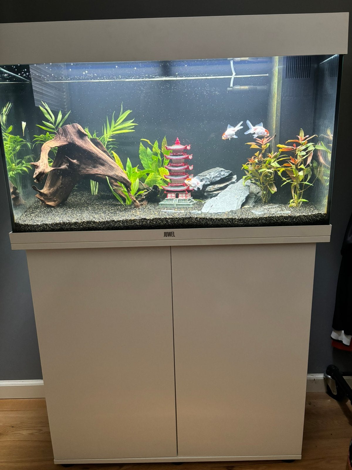 Juwel rio 125 - met kast, Ophalen, Zo goed als nieuw, Leeg aquarium, Juwel
