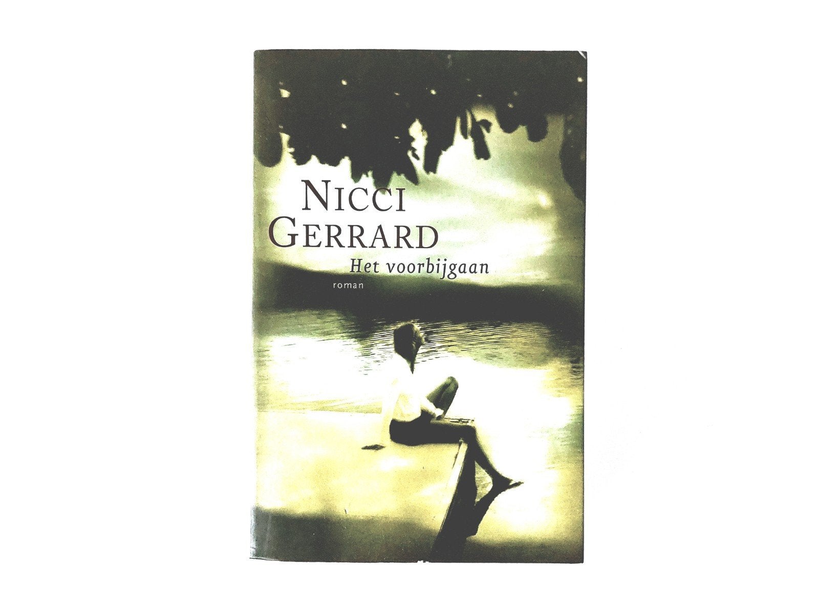 Nicci Gerrard - Het Voorbijgaan, Ophalen of Verzenden, Zo goed als nieuw, Nicci Gerrard