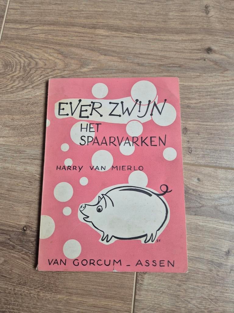 Ever Zwijntje het Spaarvarken kinderboek, Boeken, Ophalen of Verzenden