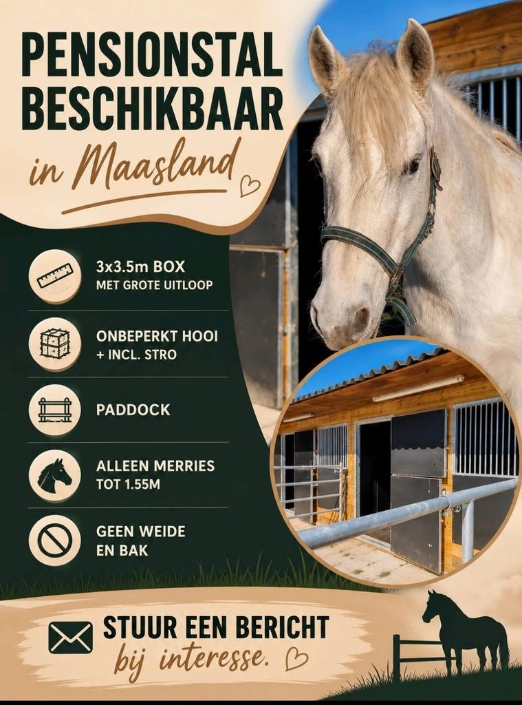 Pension box vrij in Maasland, Dieren en Toebehoren, Stalling