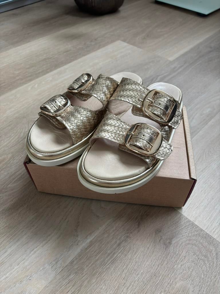 Roberto D'Angelo slippers 39, Kleding | Dames, Schoenen, Slippers, Overige kleuren, Ophalen of Verzenden, Zo goed als nieuw