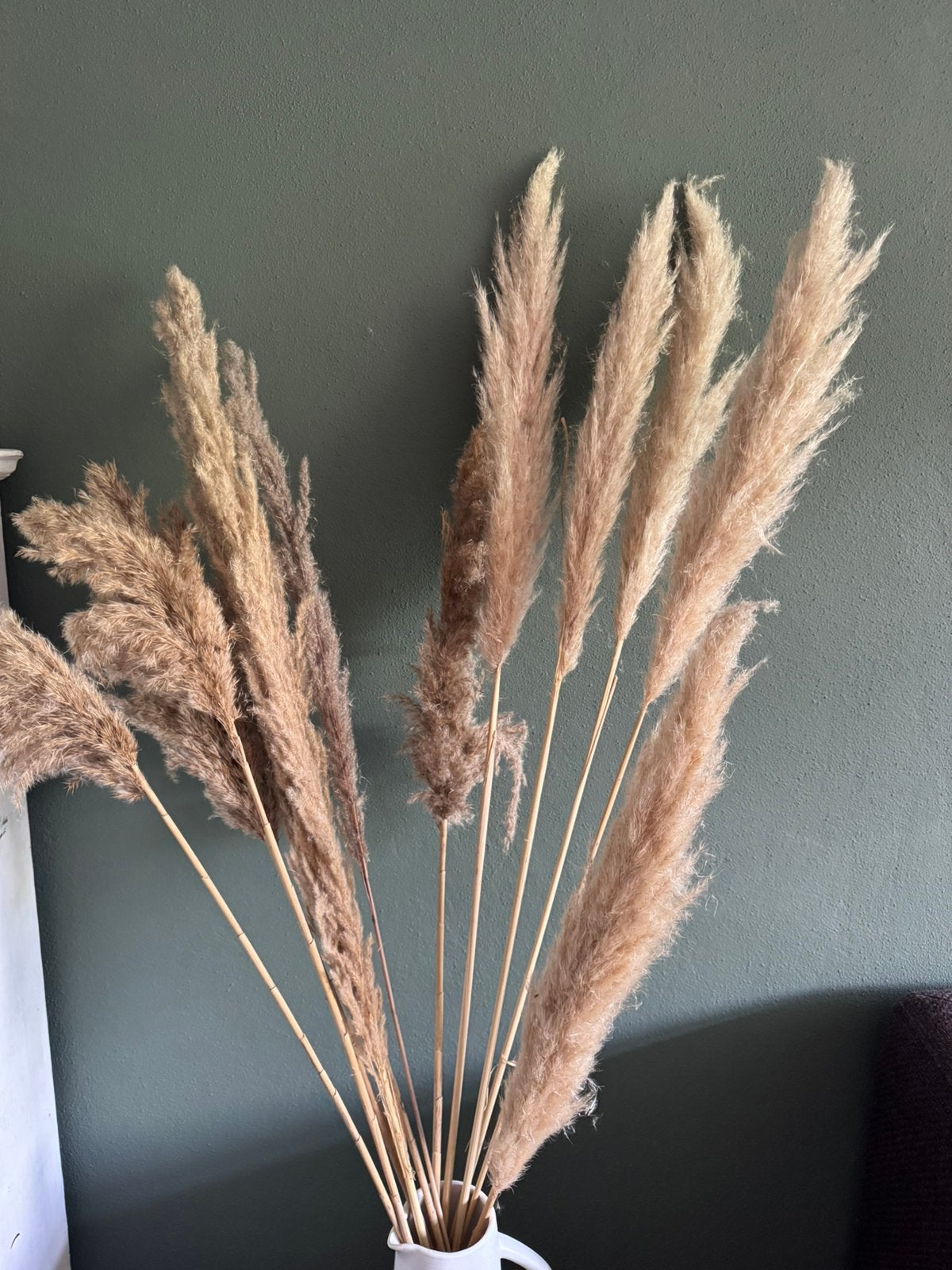 Pampas pluimen en sier stokken, Ophalen, Gebruikt