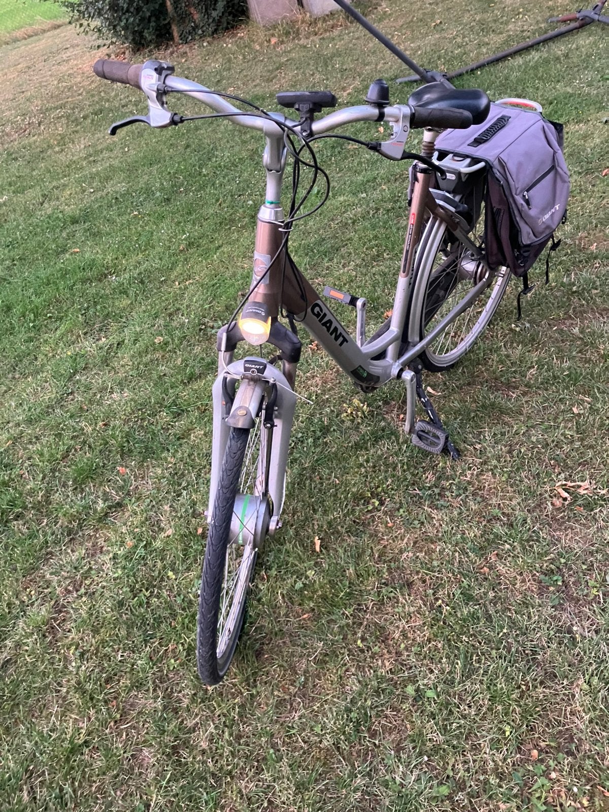 Elektrische Giant Double twist dames fiets, Ophalen, Gebruikt, Versnellingen, Giant
