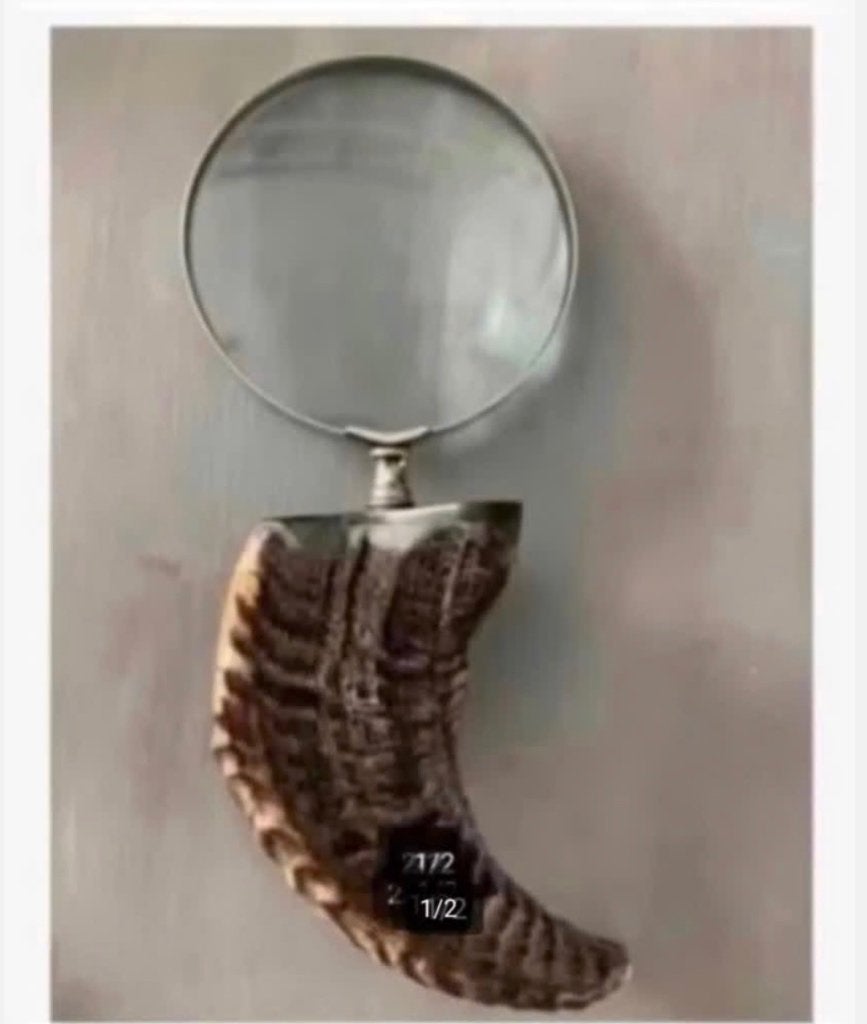 Loep, vergrootglas, Hoorn Handvat, 26 cm, Vergrootglas of Loep, Nieuw, Ophalen of Verzenden, X