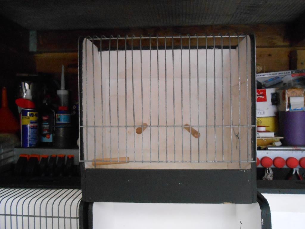 vervoers kooitjes, Dieren en Toebehoren, Ophalen, Gebruikt, Hout, Vogelkooi