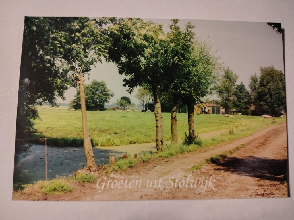 Stolwijk, Ophalen of Verzenden, 1940 tot 1960, Gelderland