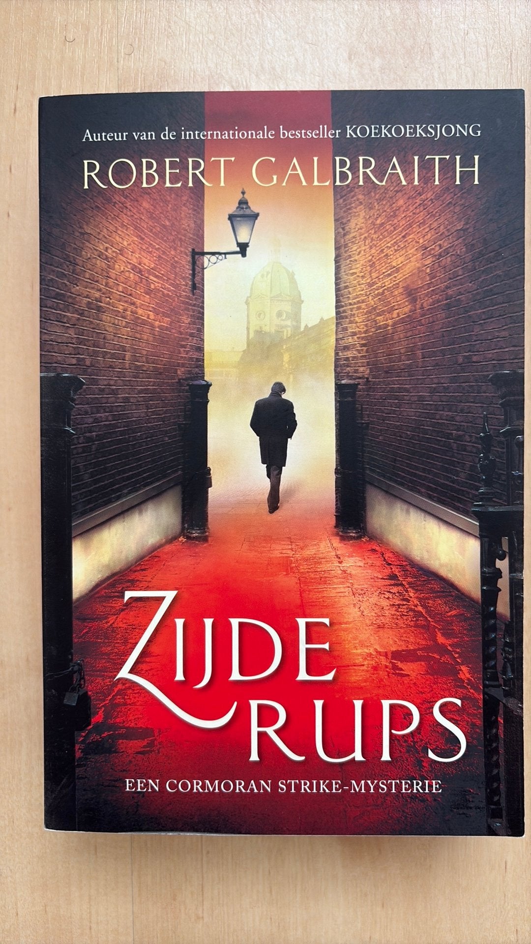 Robert Galbraith - Zijderups, Ophalen of Verzenden, Zo goed als nieuw, Robert Galbraith