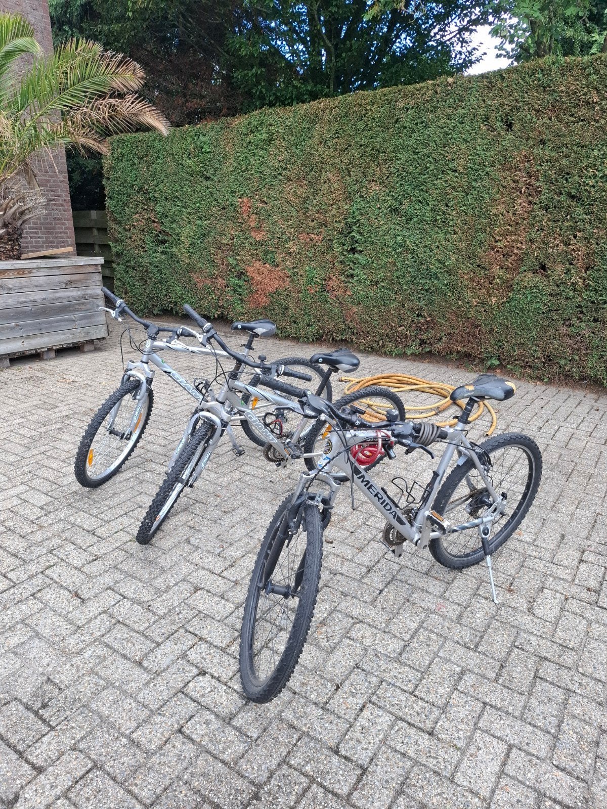 Giant en Merida mountainbikes - Gebruikt, Fietsen en Brommers, 49 tot 53 cm, Ophalen of Verzenden, Gebruikt, Giant
