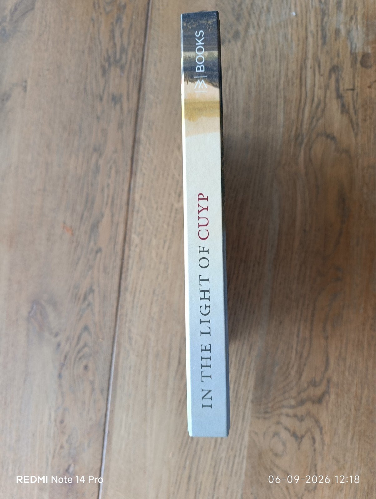 boek: In the Light of Cuyp: Aelbert Cuyp & Gainsbor Cons., Ophalen of Verzenden, Zo goed als nieuw, Schilder- en Tekenkunst