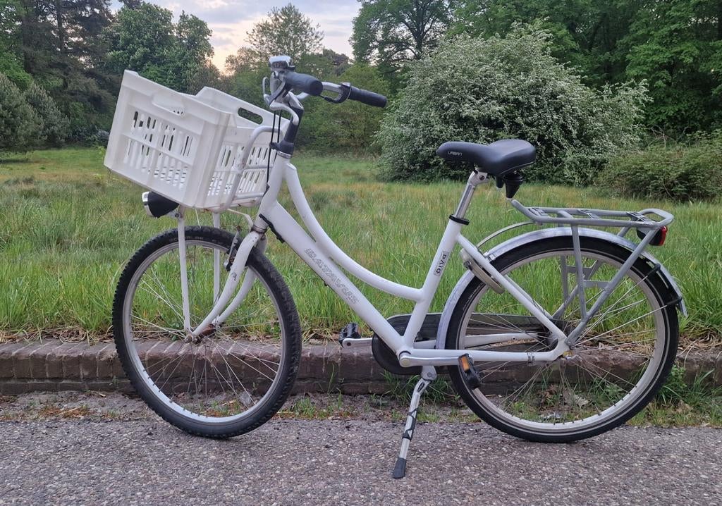 Batavus Diva 3versn. 26 inch transporter/damesfiets te koop, Ophalen, Gebruikt, Batavus Diva, Versnellingen