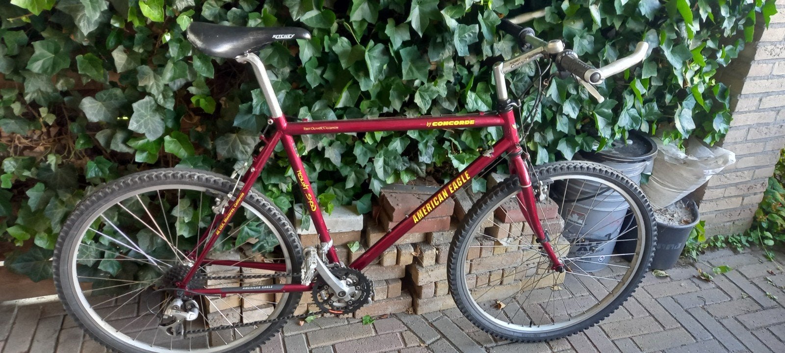 Vintage American Eagle Concorde Mount Snow Mountainbike, Ophalen
