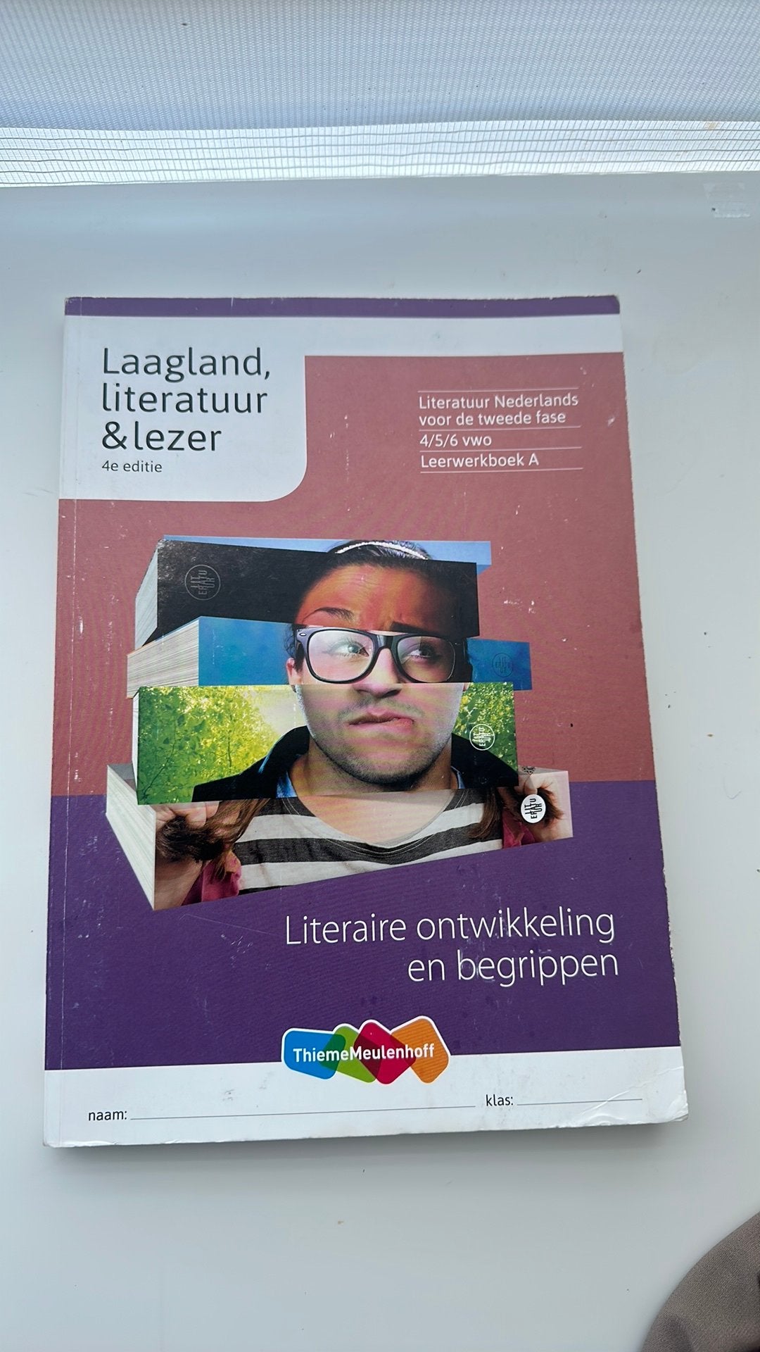Laagland, literatuur en lezer vwo, Boeken, Schoolboeken, Ophalen, Zo goed als nieuw, VWO, Nederlands