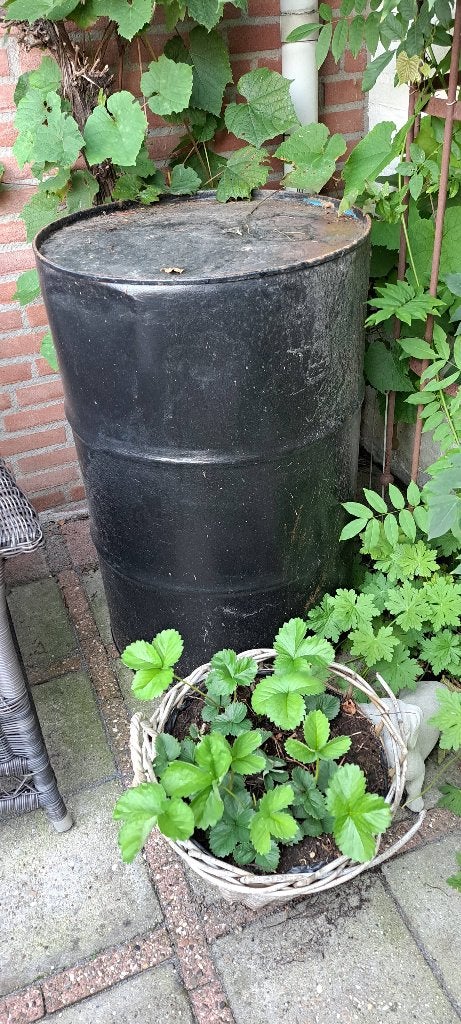 Zwart regenton vat, 150 liter of meer, Ophalen, Gebruikt, Metaal