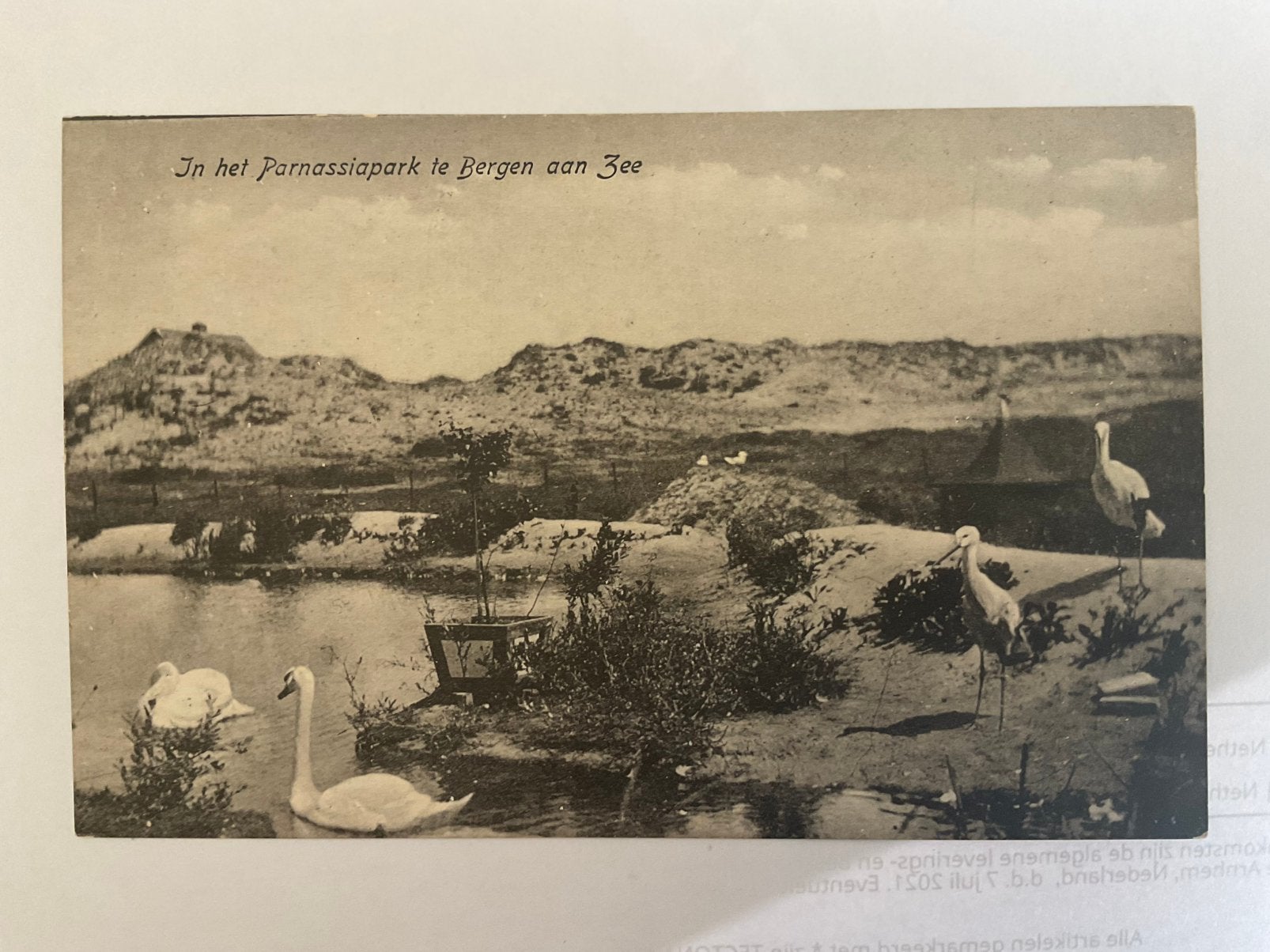 Bergen aan zee,parnassiapark, Ophalen of Verzenden, Voor 1920, Noord-Holland