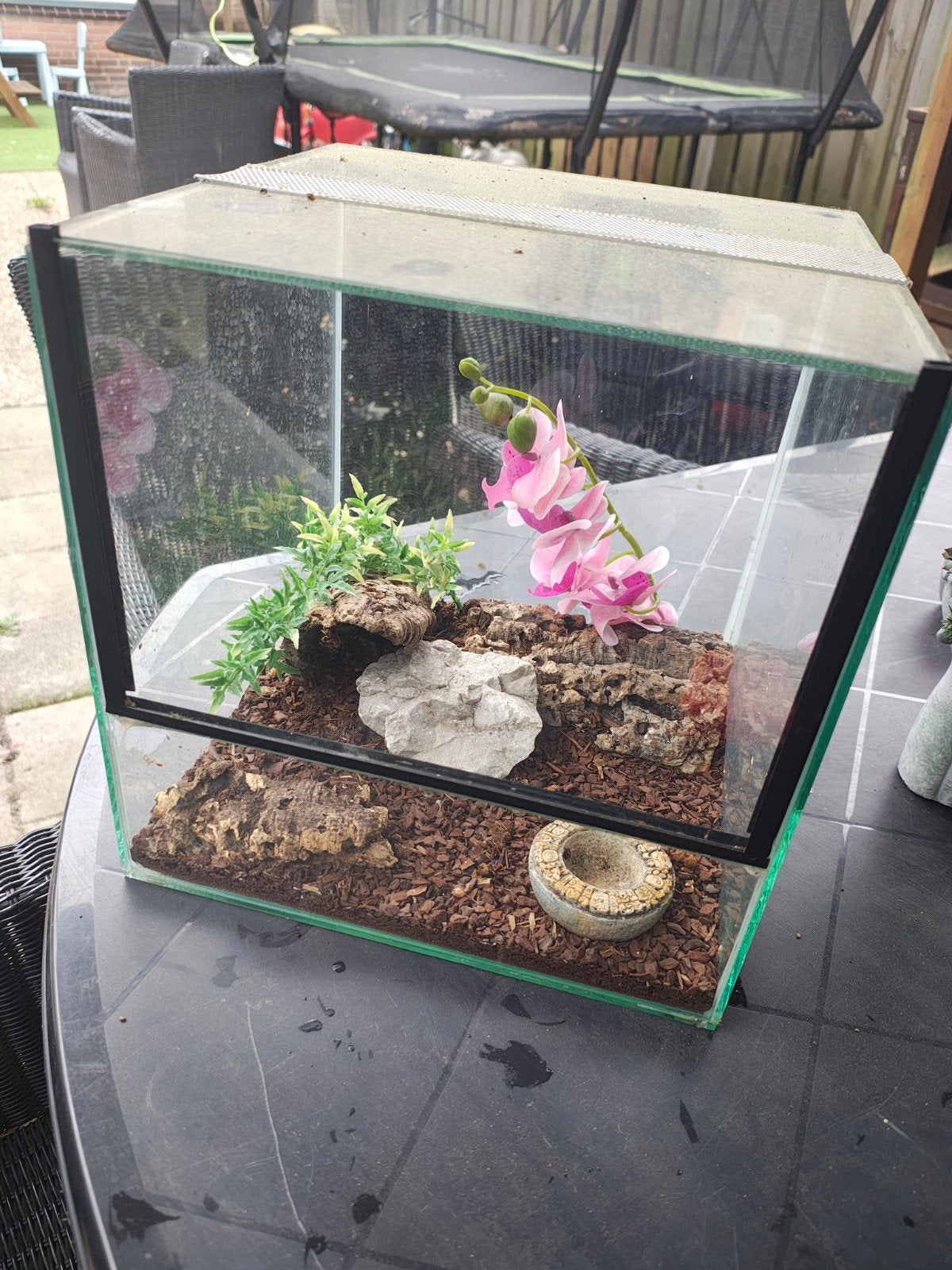 terrarium / bak klein, Dieren en Toebehoren, Reptielen en Amfibieën | Toebehoren, Ophalen of Verzenden