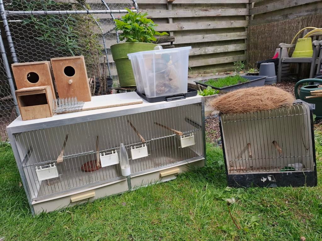 Vogelkooi en benodigdheden, Ophalen, Gebruikt, Hout, Broedkooi of Kweekkooi