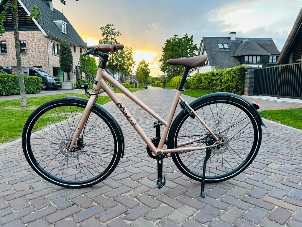 Trek L500 | Damesfiets | Carbon Beltdrive | 50CM | Schijfrem, Fietsen en Brommers, Fietsen | Dames | Damesfietsen, Versnellingen
