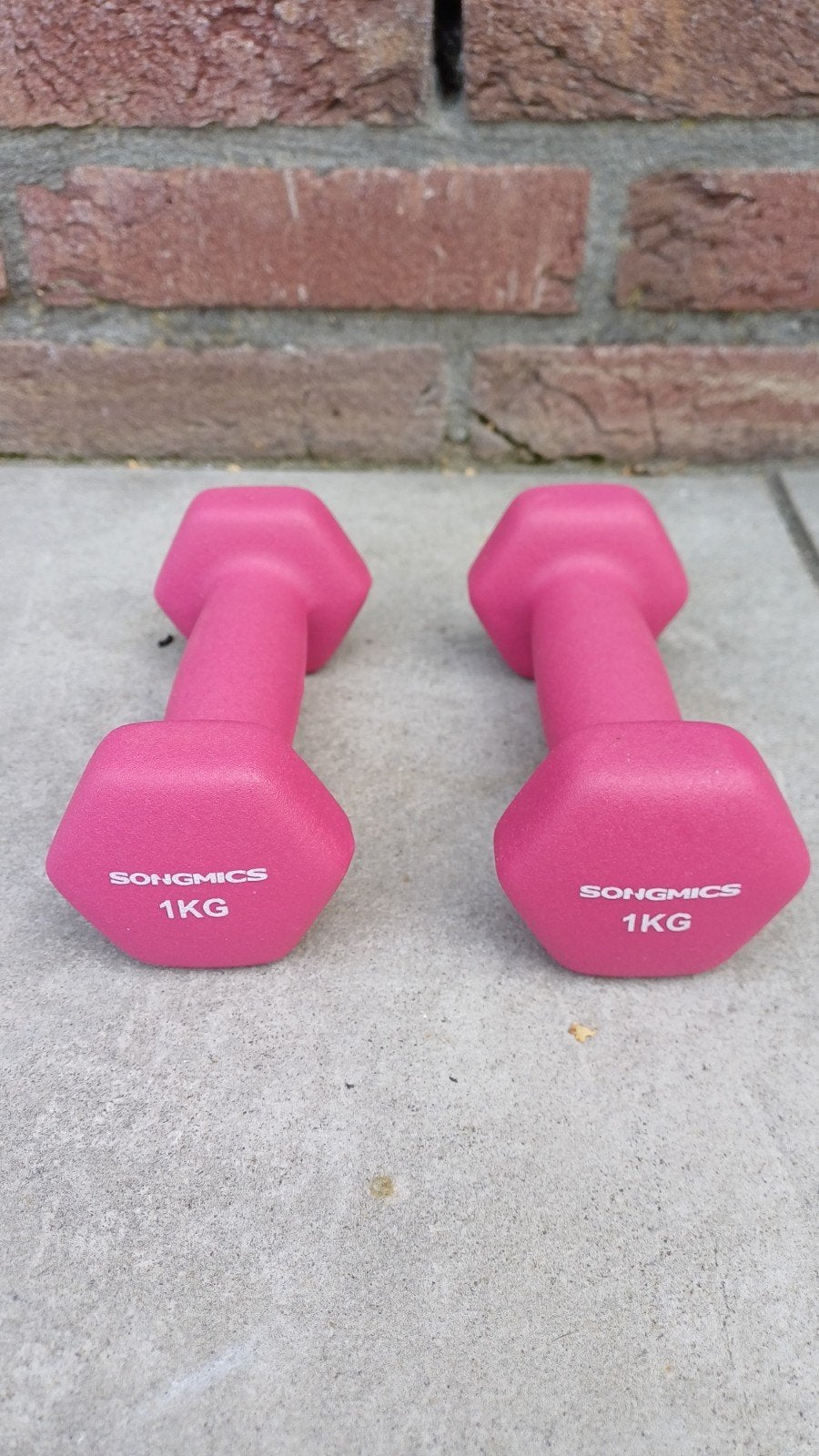 Set Zeshoekige Dumbell Halterset 2x1kg Paars / Rood Nieuw!!, Ophalen of Verzenden, Nieuw, Benen, Dumbbell