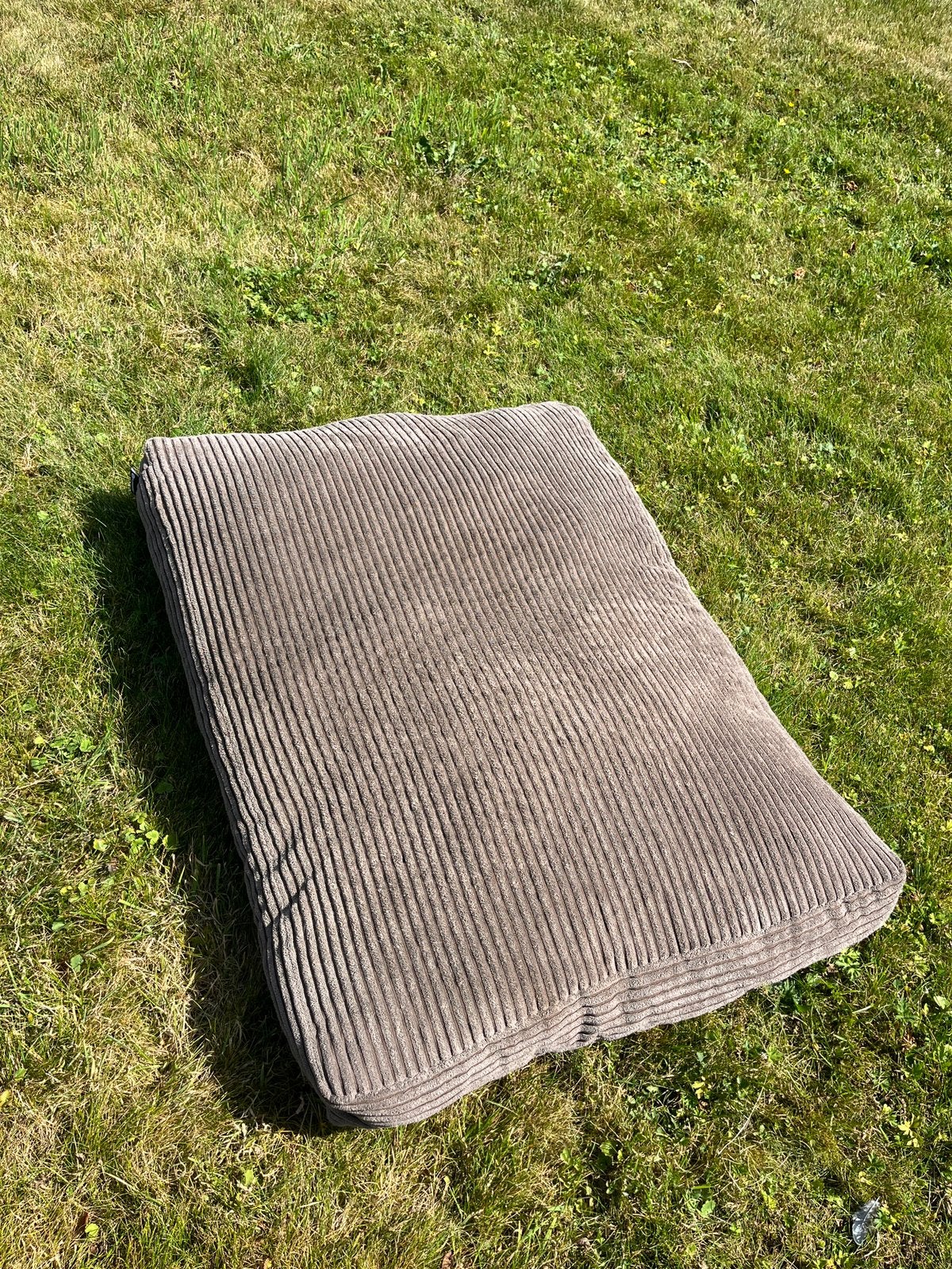 Honden kussen 60x80 cm, Ophalen, Zo goed als nieuw