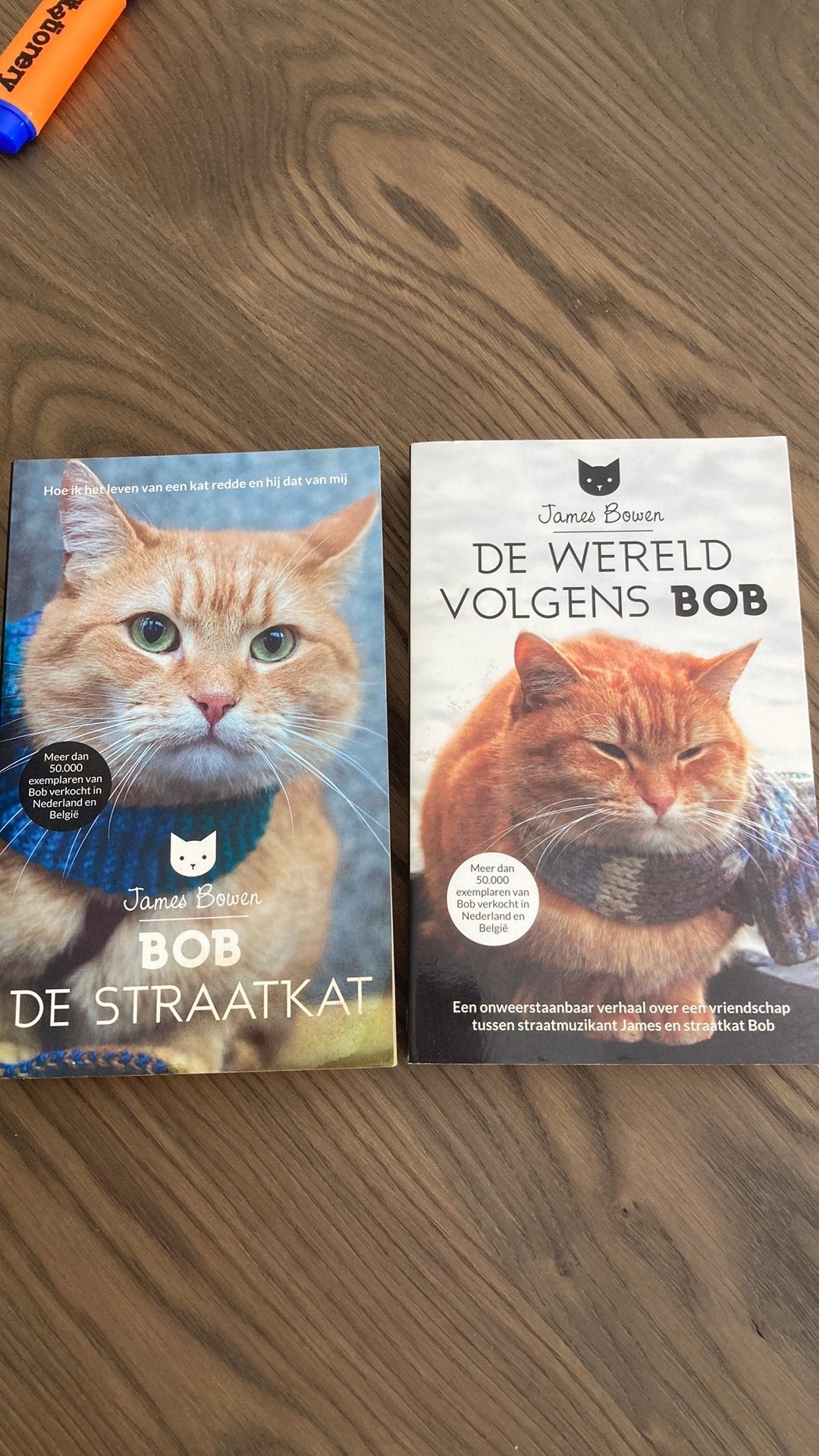 Bob de straatkat De wereld volgens Bob, Boeken, Ophalen of Verzenden, Zo goed als nieuw