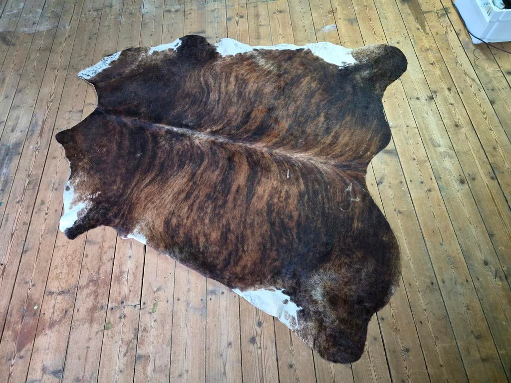 Prachtig koeienhuid vloerkleed, bruin/wit gevlekt, Ophalen, 100 tot 150 cm, Rustiek, Natuurlijk, Bohemian, Zo goed als nieuw