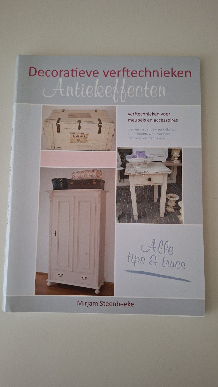 Decoratieve verftechnieken: - Mirjam Steenbeek, Boeken, Ophalen of Verzenden, Gelezen, Overige onderwerpen, Mirjam Steenbeeke