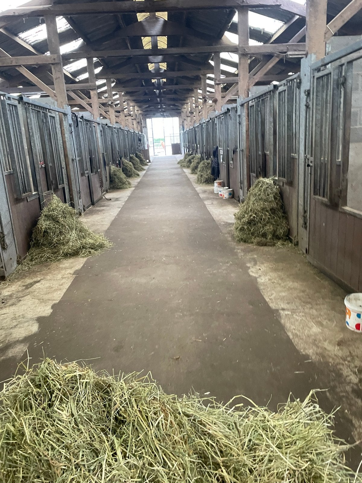 2 plekjes vrij, Dieren en Toebehoren, Weidegang, 2 of 3 paarden of pony's