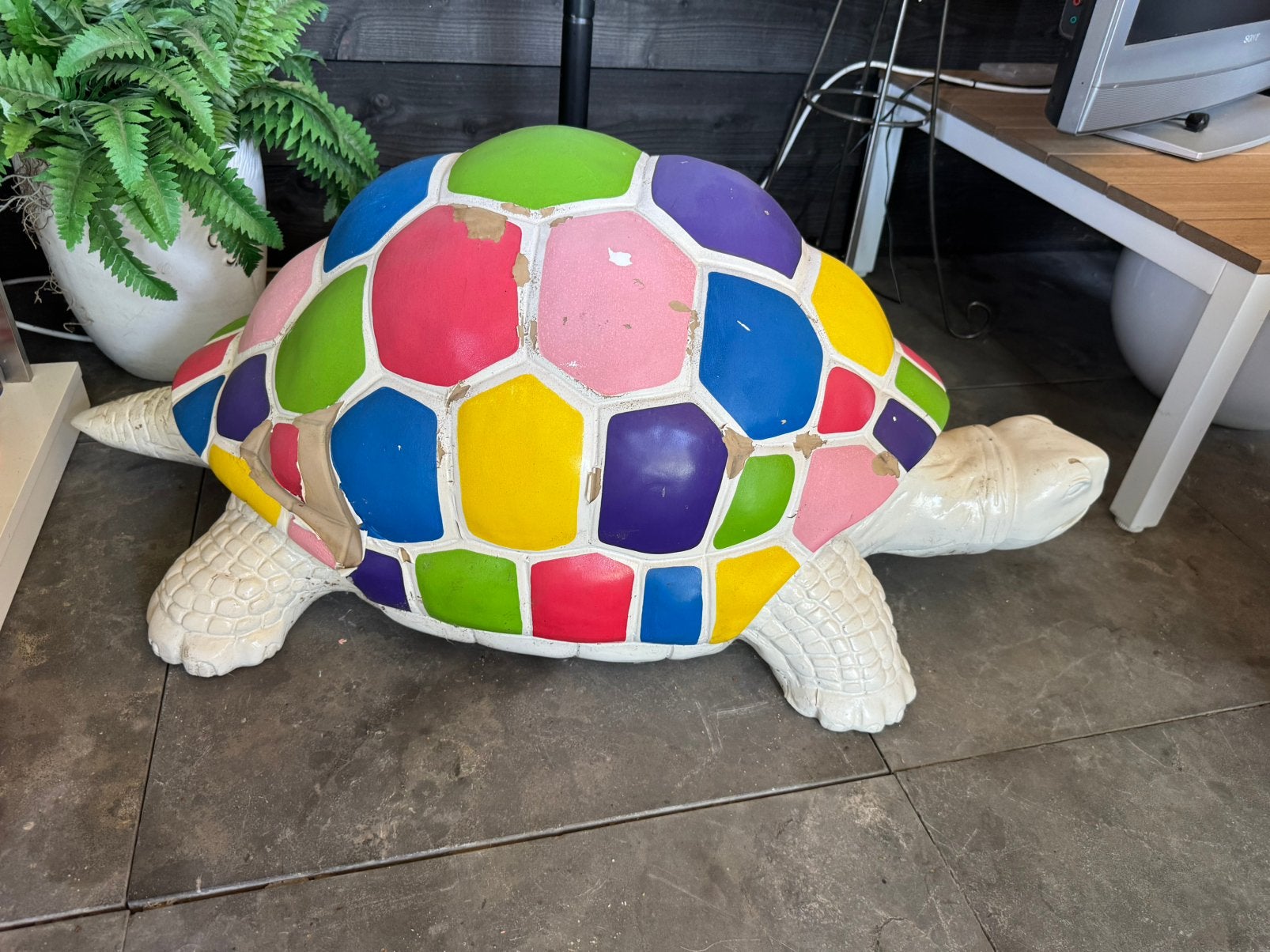Schildpad, Ophalen of Verzenden, Zo goed als nieuw