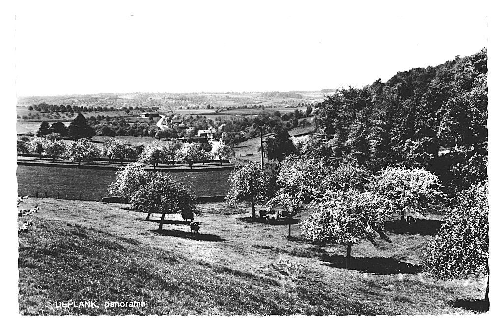 950091	Deplank De Plank	1966 Panorama	Bouge Namur onbeschr, Ophalen of Verzenden, 1960 tot 1980, Ongelopen, Limburg