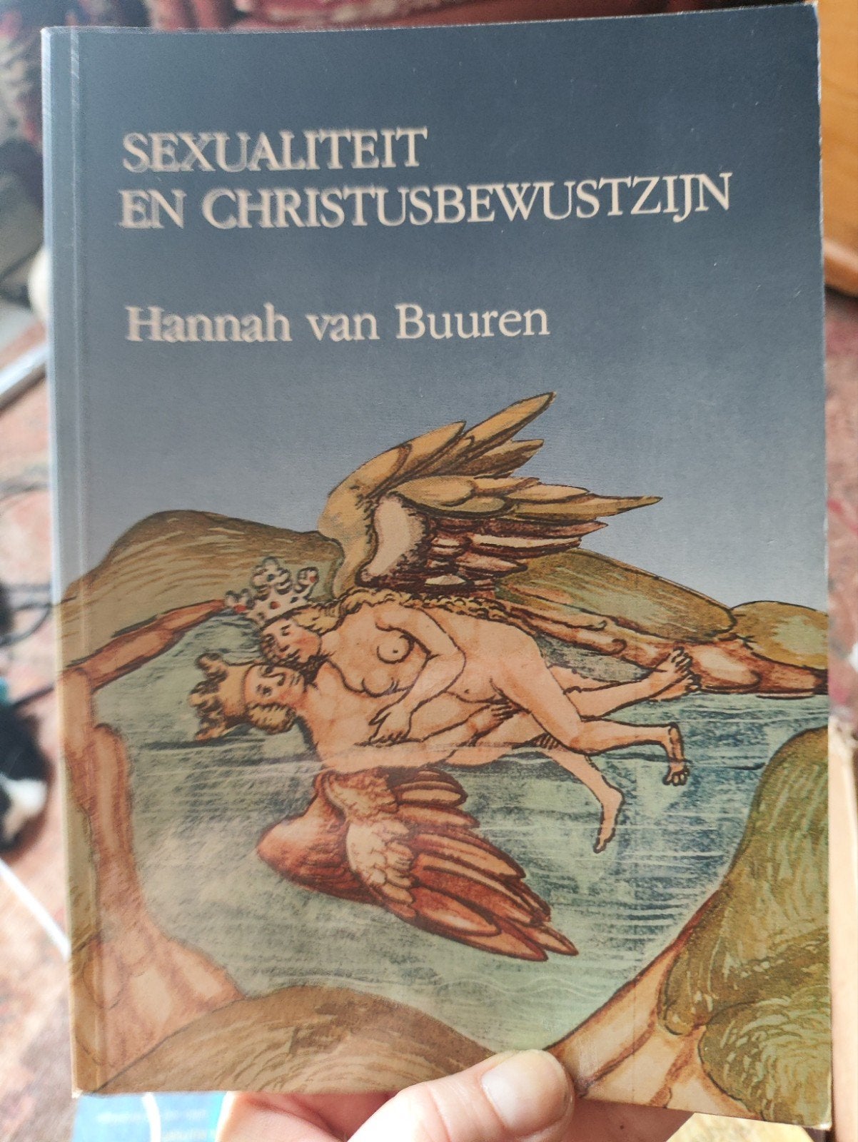 Sexualiteit en Christusbewustzijn - Hannah van Buuren, Boeken, Ophalen of Verzenden