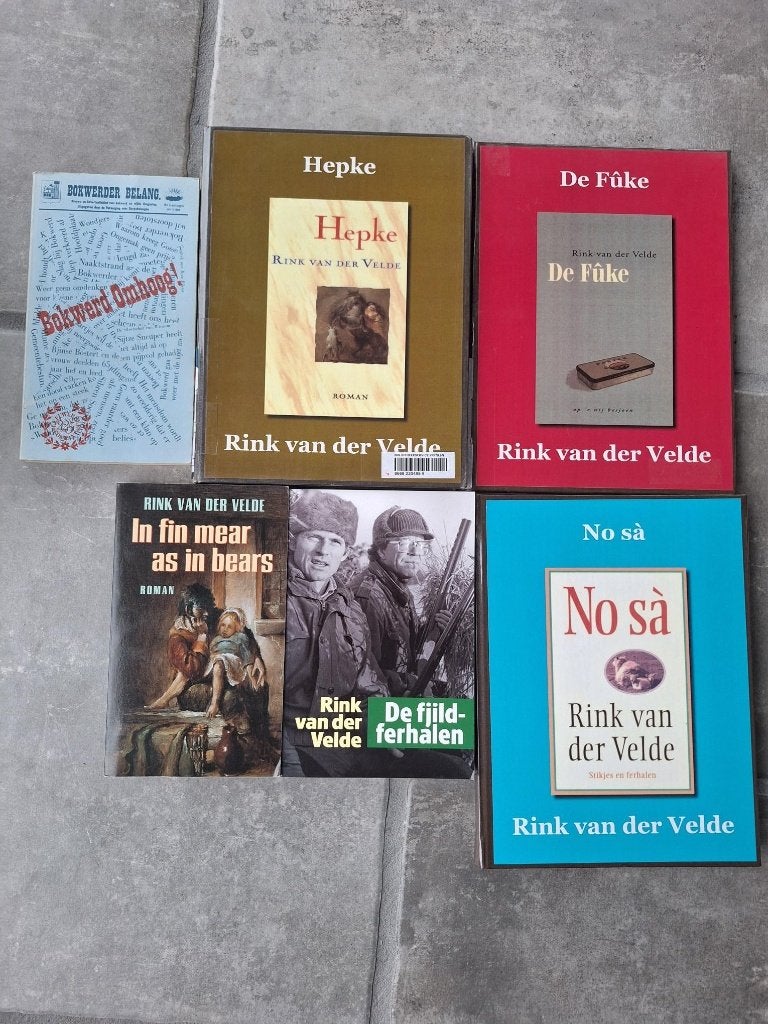 Rink van der Velde fryske boeken, Boeken, Ophalen of Verzenden, Zo goed als nieuw, Friesland