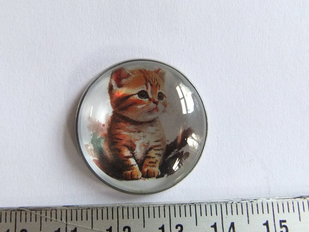 pin of speldje kitten (raskatje), Verzenden, Nieuw, Overige onderwerpen