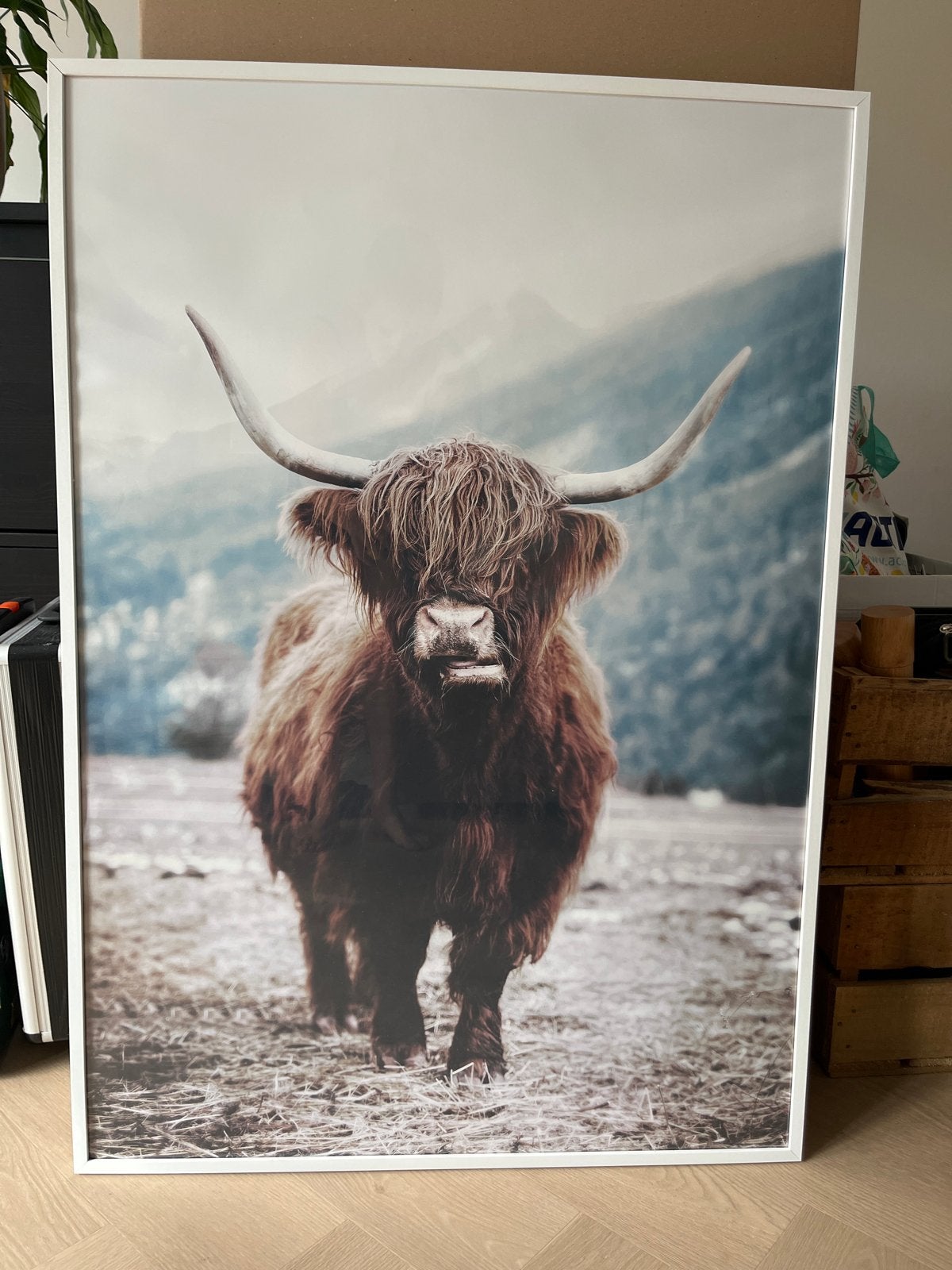 Desenio lijst met Hooglander poster - 72x102 cm, Huis en Inrichting, Woonaccessoires | Lijsten, Ophalen, Wit, Hangend, Hout