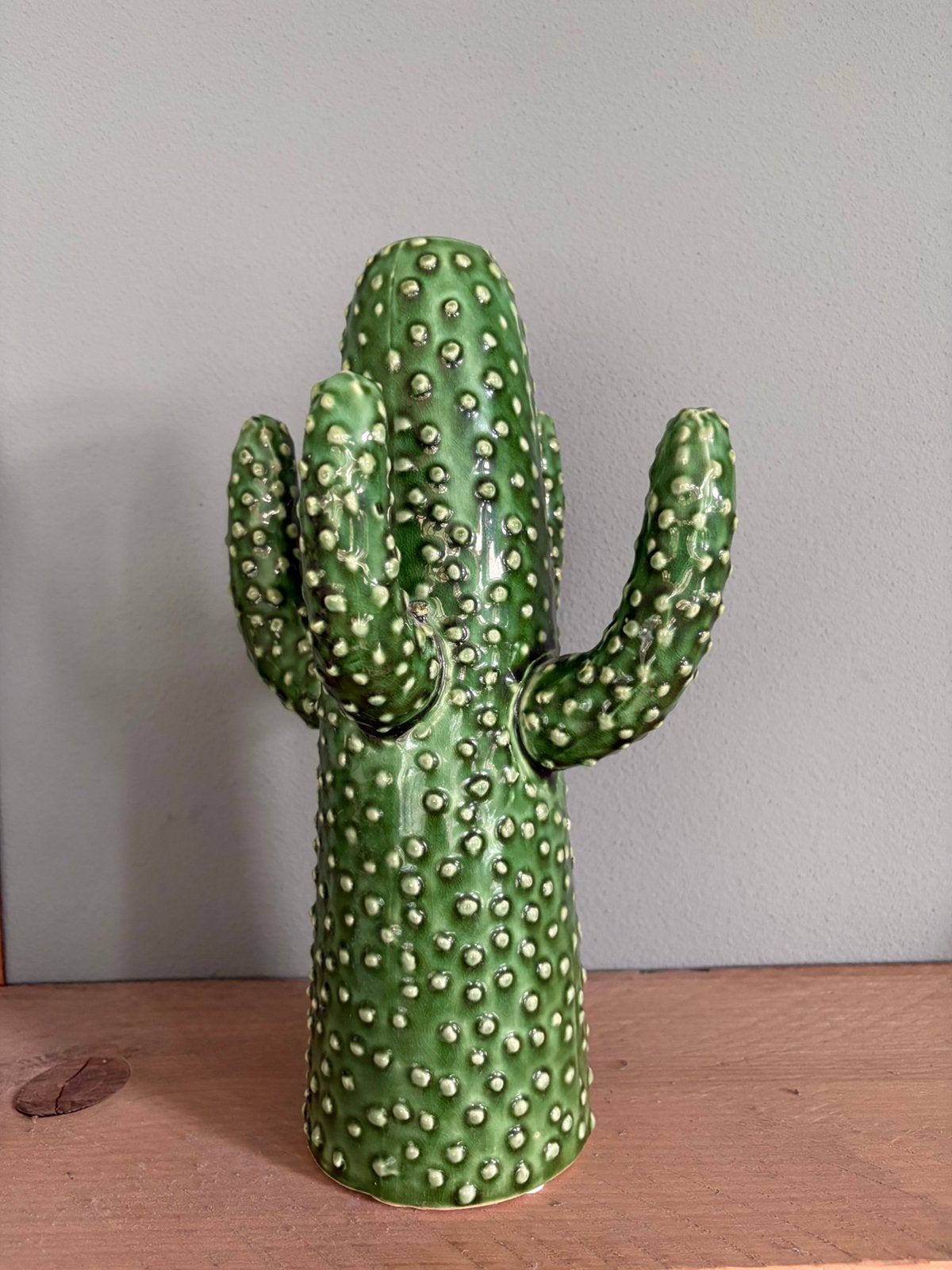 Serax cactus vaas 29 cm keramiek, Ophalen of Verzenden, Zo goed als nieuw, Overige materialen, Minder dan 50 cm