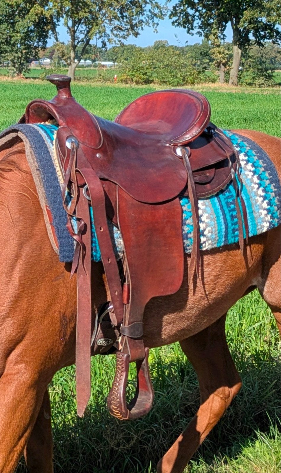 Vaquero Slick Fork Ranch semiquarter westernzadel, Dieren en Toebehoren, Inclusief stijgbeugels, Overige merken, Ophalen of Verzenden